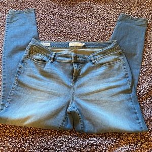 Torrid Jeans